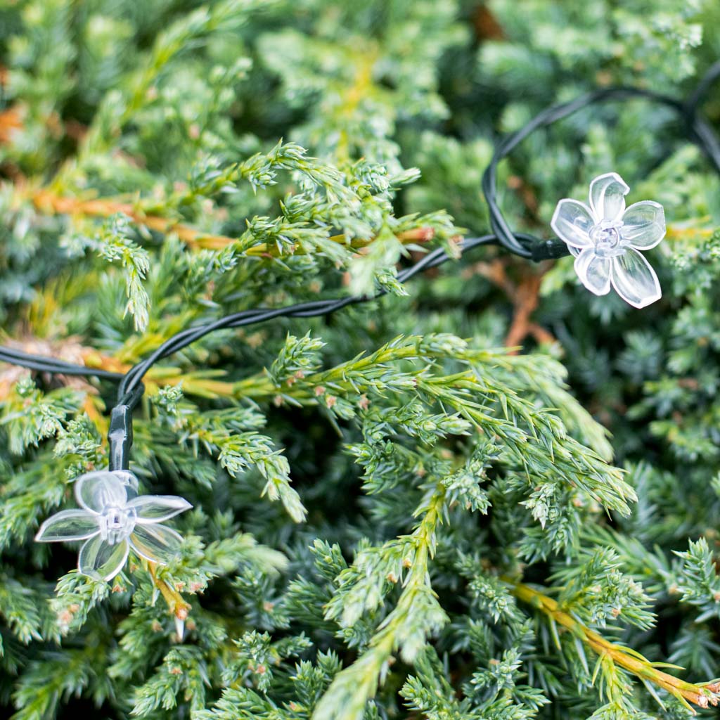Lampki ogrodowe solarne kwiatki 7m 50LED ciepły biały - obrazek 5
