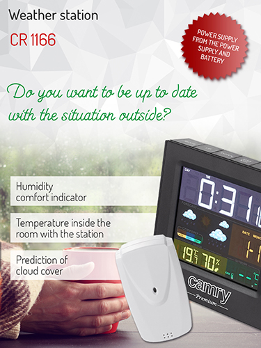 CR 1166 Stacja pogodowa - obrazek 9