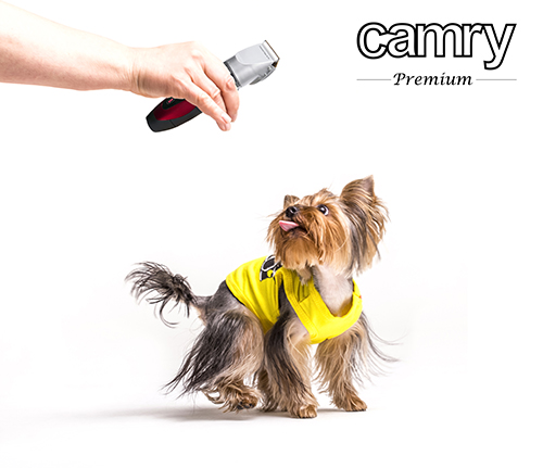 CR 2821 Strzyżarka dla zwierząt z ładowaniem przez USB - obrazek 9